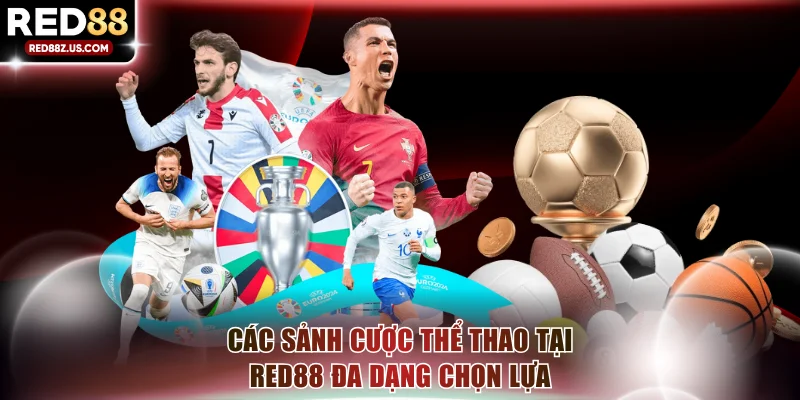 Các sảnh cược thể thao tại RED88 đa dạng chọn lựa
