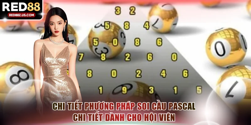 Chi tiết phương pháp soi cầu Pascal chi tiết dành cho hội viên