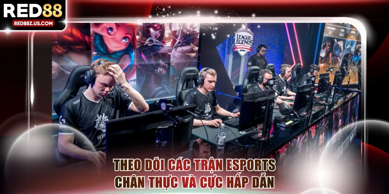 Theo dõi các trận esports chân thực và cực hấp dẫn